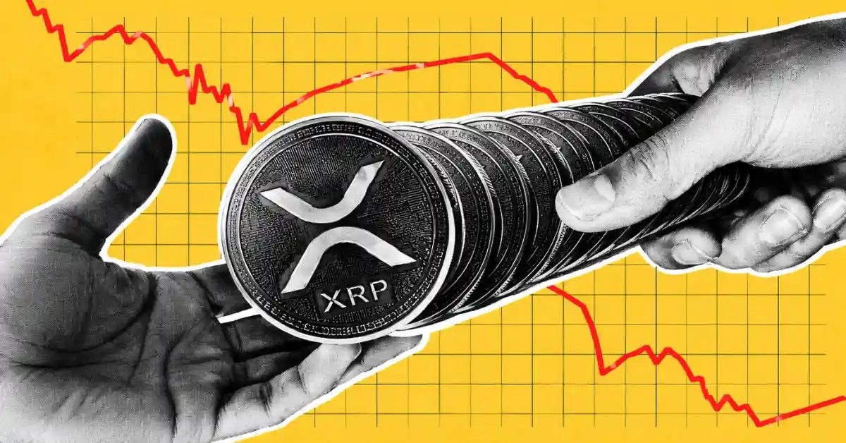XRP Rich List Reveals Top 10% Holder Threshold Falls to 2,065 XRP