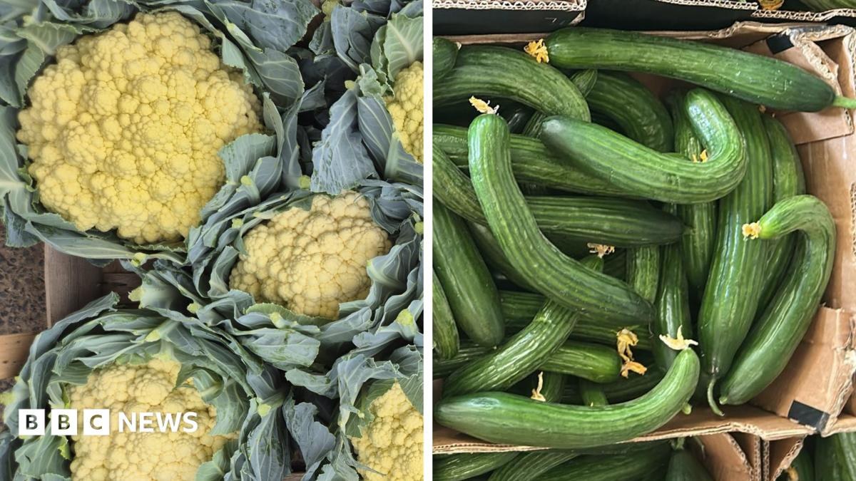 Sun-tanned cauliflowers and knobbly spuds - the heatwave veg that's good to eat