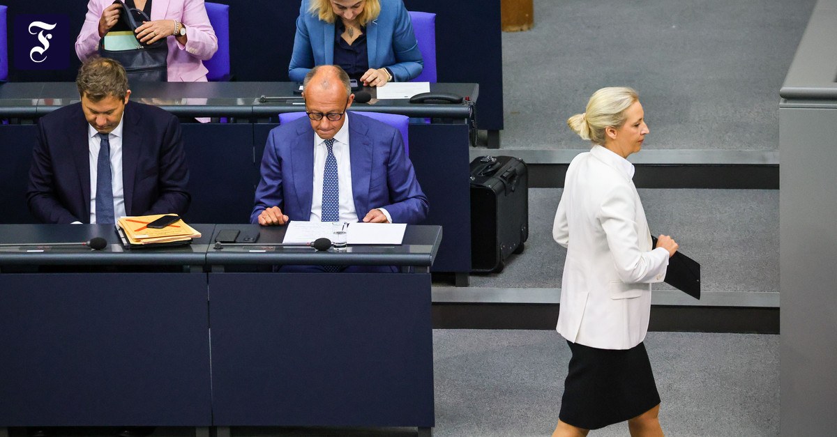 Gerupfte Reformen: Was bleibt von den schwarz-roten Plänen noch übrig?