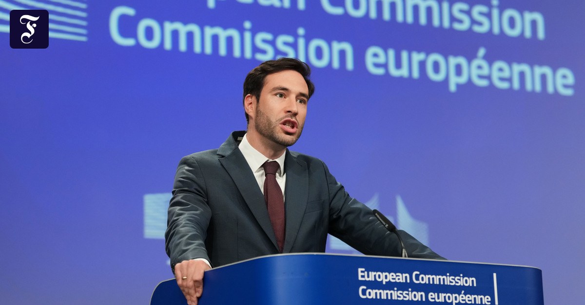 EU-Digitalgesetz: Zu viel Politik im Google-Fall