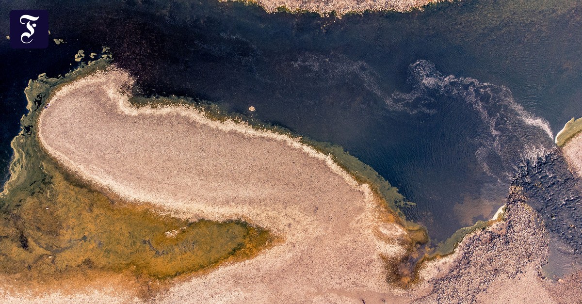Niedrigwasser und Trockenheit: „Wir müssen Wasser ernten“