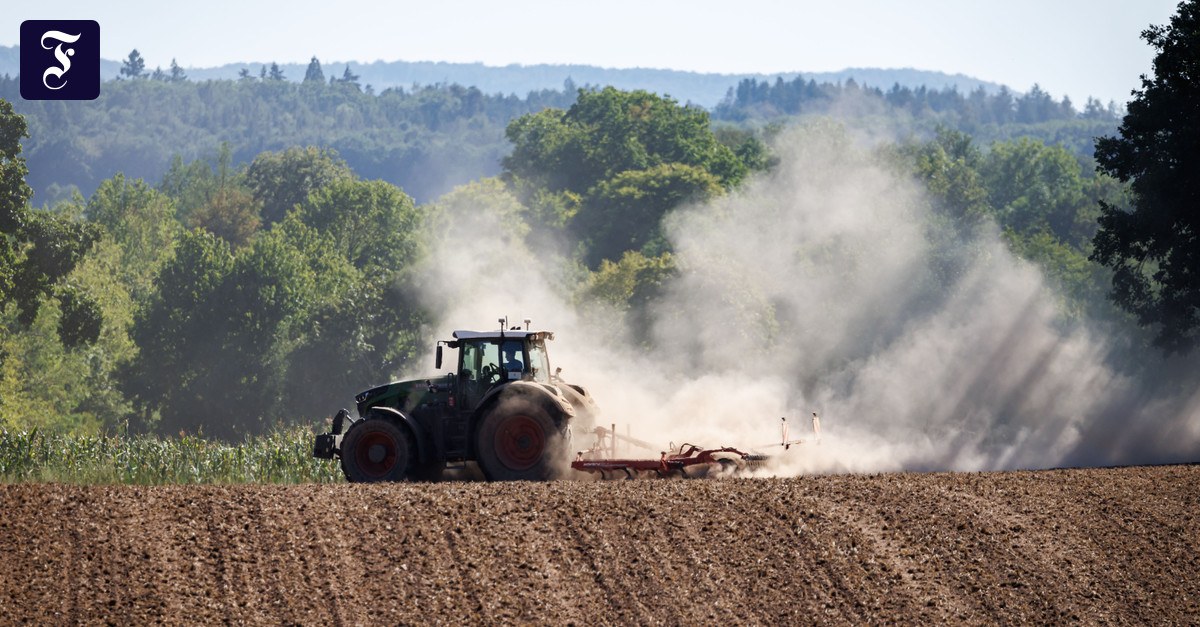 Dürre: Bauernverband warnt vor totalem Ernteausfall im Süden Deutschlands