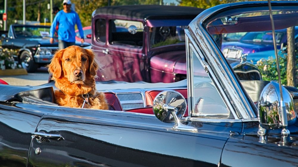 Value Stocks Drive IDOG Past Broader Market in July