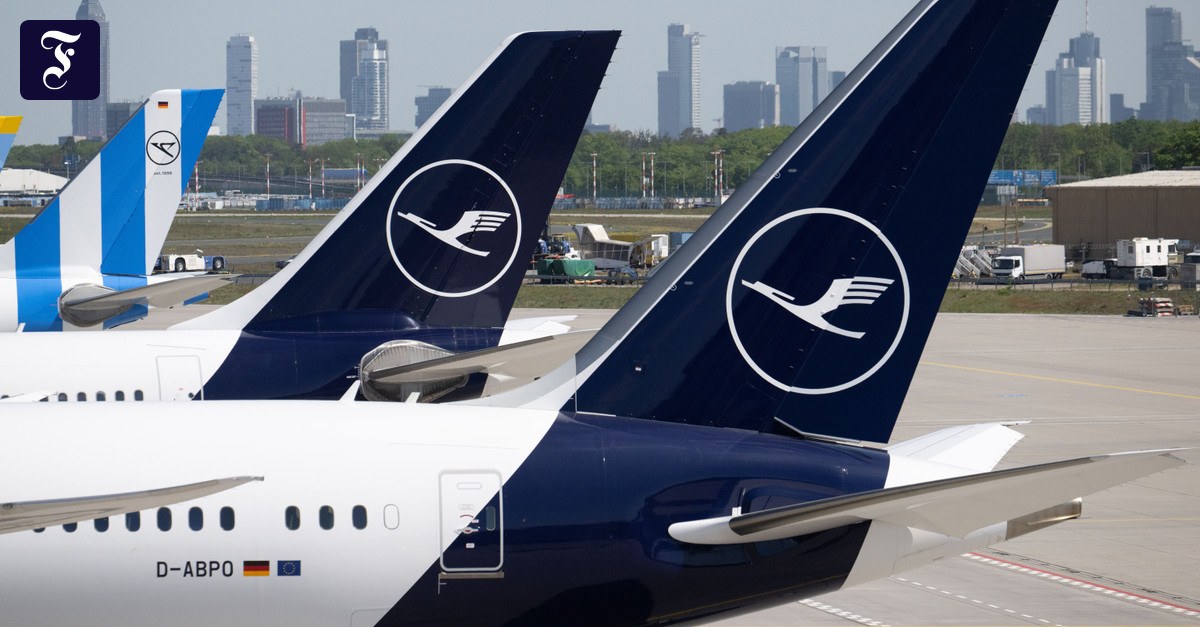 Business-Ticker: Lufthansa und Air France wollen Portugals Fluglinie TAP