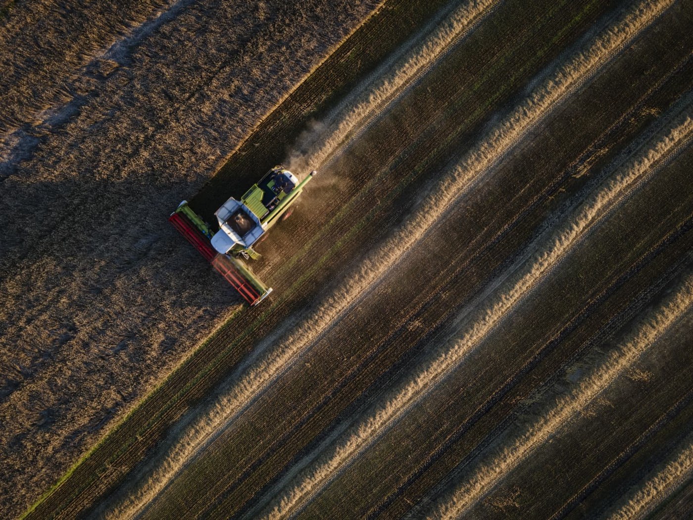 'Perfect storm' brews for global food supply this winter as grain prices soar