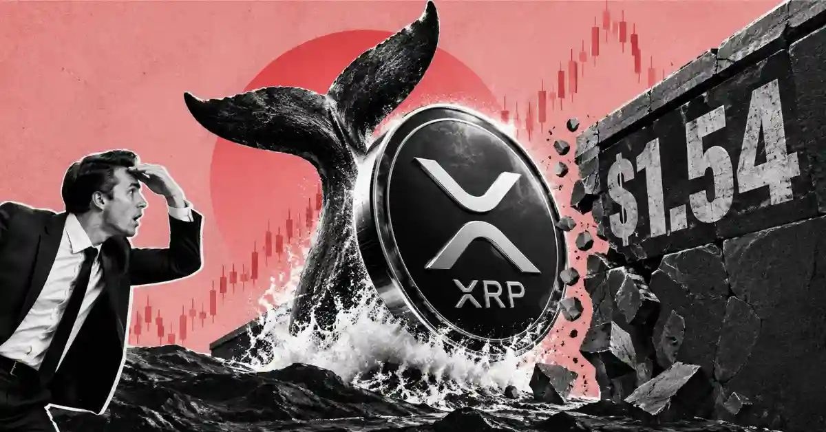 XRP Ledger Sees Record 11,432 New Accounts