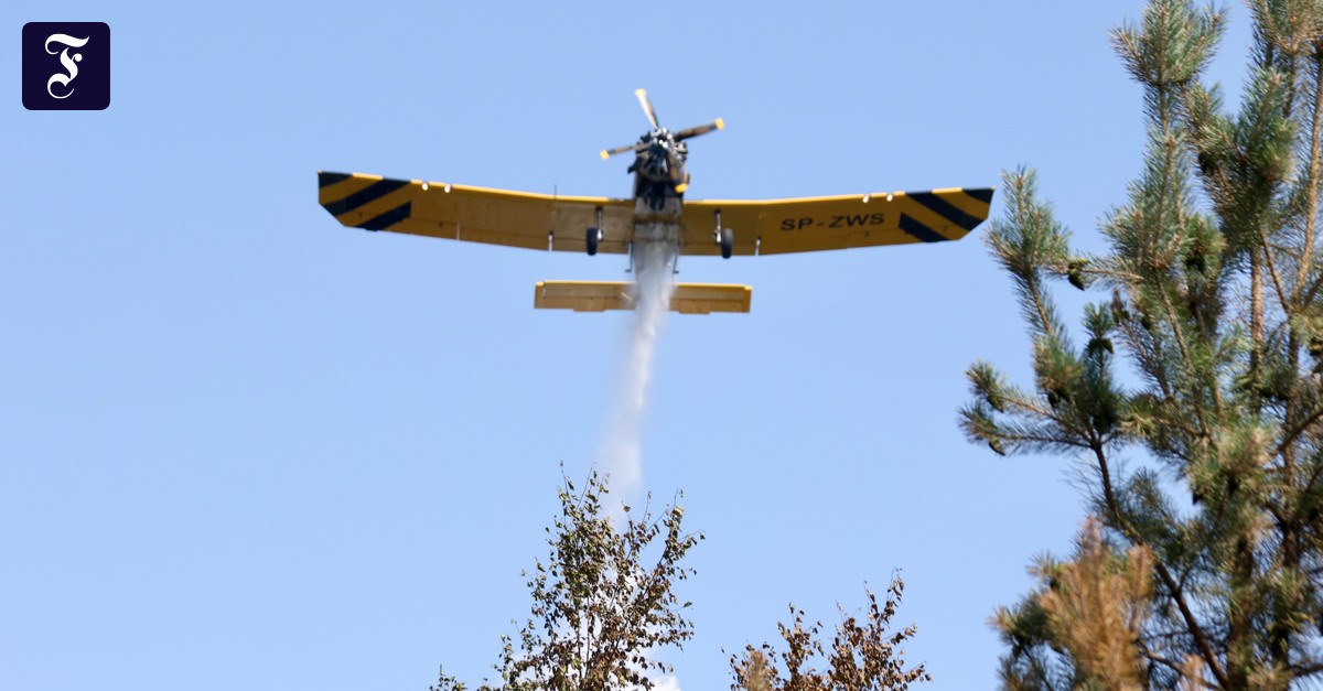 Waldbrände wegen Hitzewelle: Deutschland hat nur ein Löschflugzeug. Warum?