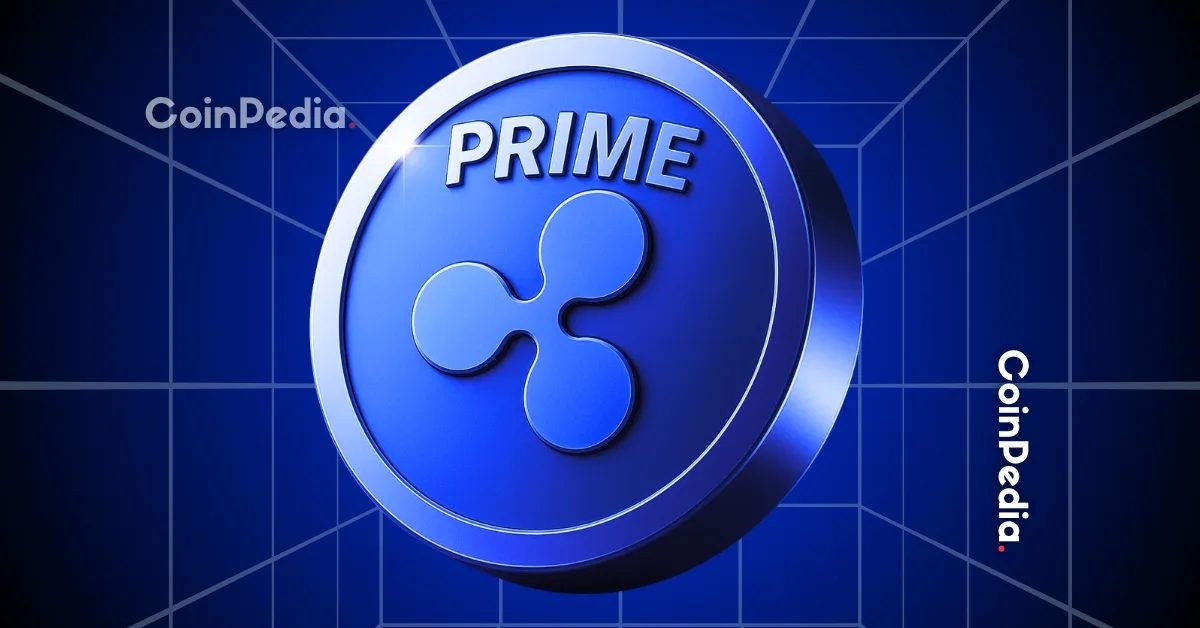 Ripple Enters Wall Street’s Leveraged ETF Game With Swap Financing