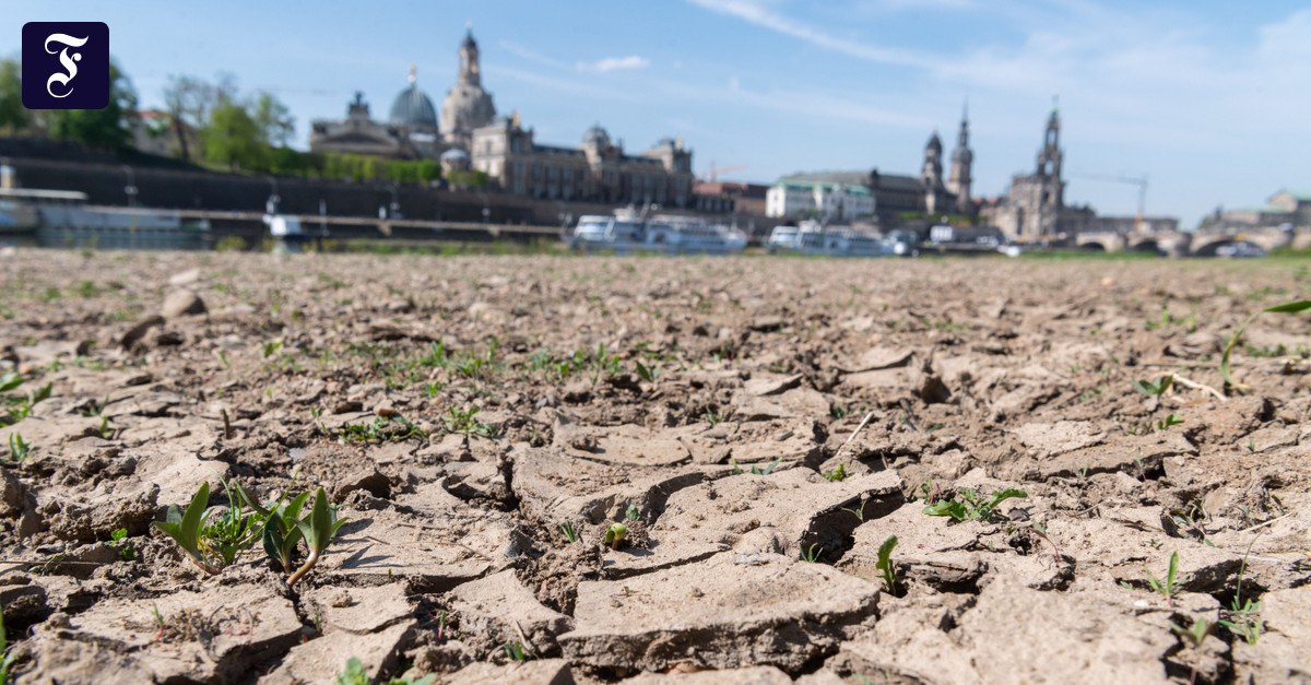 Trockenheit in Deutschland: Wo kommen die 13 Milliarden Kubikmeter Wasser für die Industrie her?