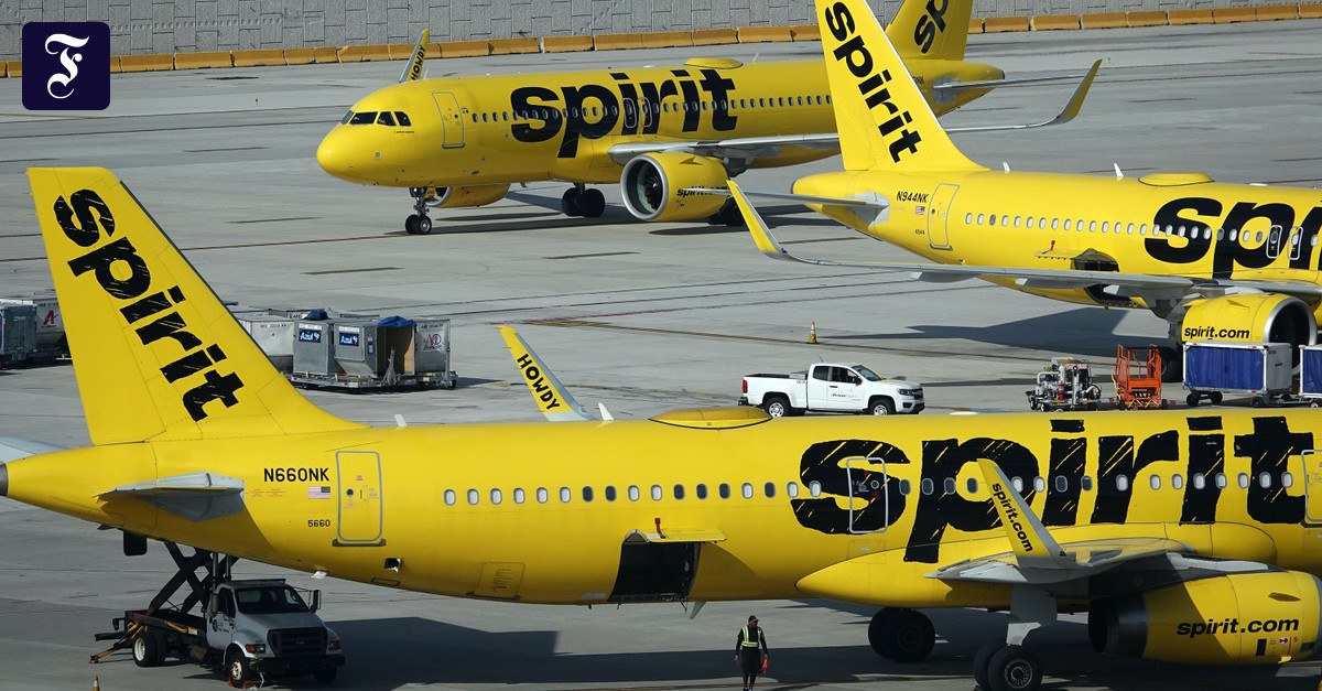 Business-Ticker: Für KI-Training? Google kauft Daten von Spirit Airlines