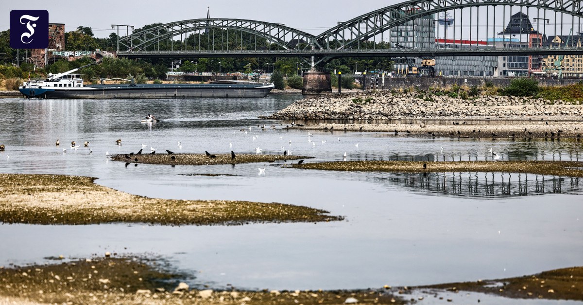 Binnenschifffahrt: Zwölf Niedrigwasserschiffe sind zu wenig