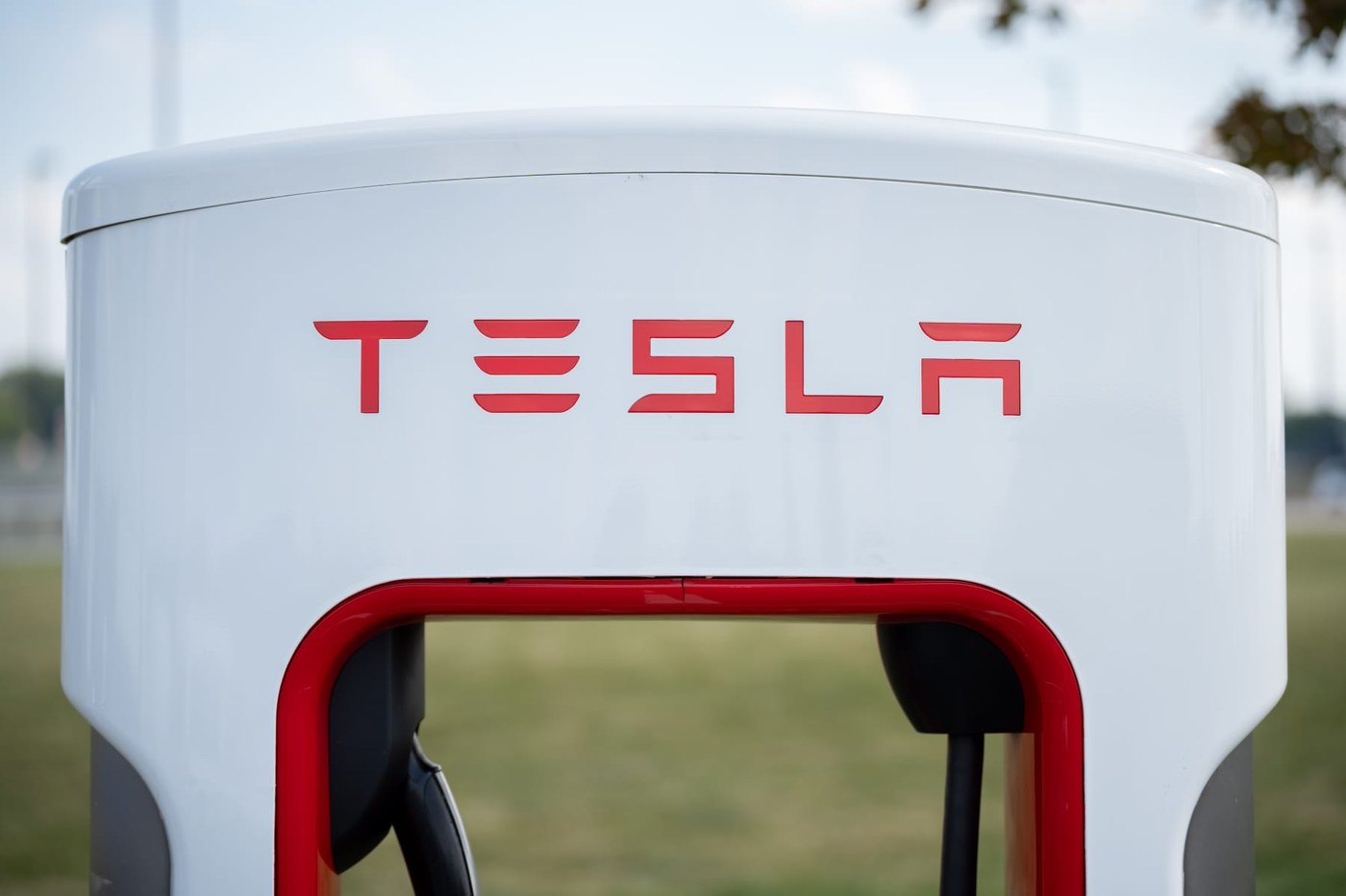 Tesla makes a move on Southeast Asia's largest EV market. A homegrown giant awaits